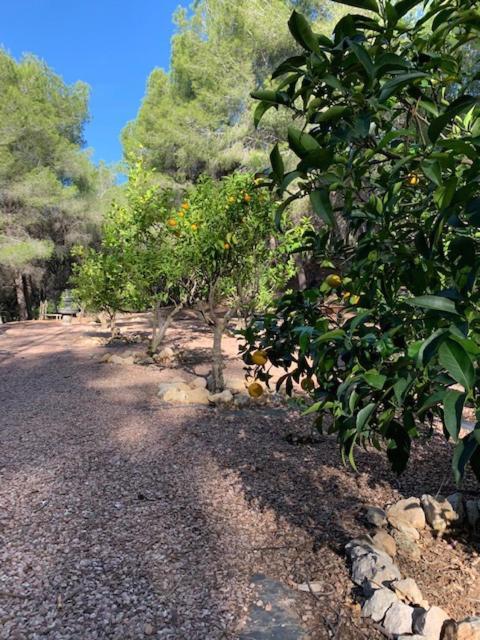 Casa Orient Villa Altea Eksteriør billede